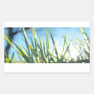 Sunlit Blades Rectangular Sticker