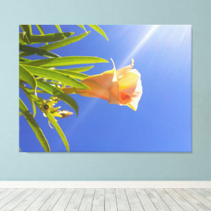 Sunlit Blossom Beneath a Deep Blue Sky Canvas Print