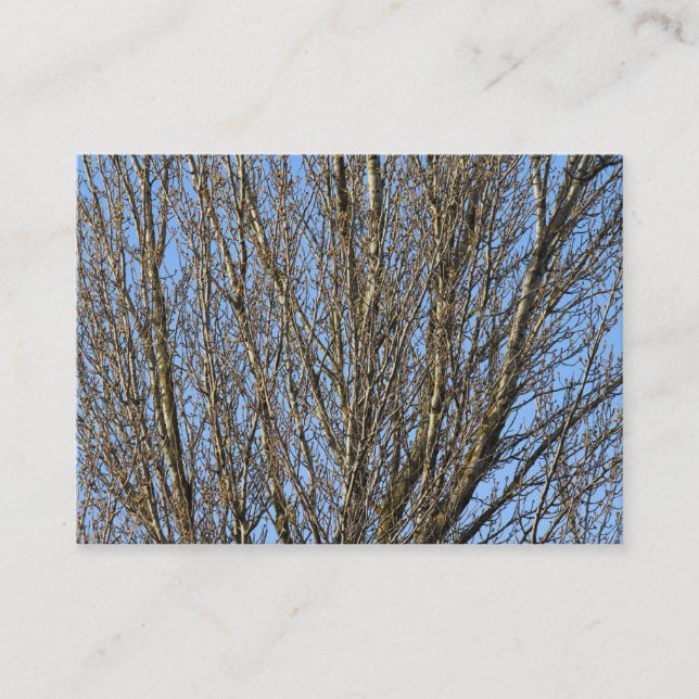 Sunlit Branches Business Card (Front)