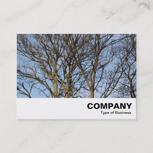Sunlit Branches Business Card (Front)