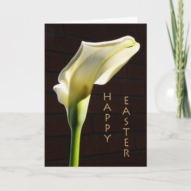 sunlit calla lily easter card (Front)