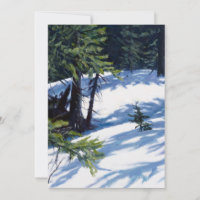Sunlit Colorado Mountain Snow Scene