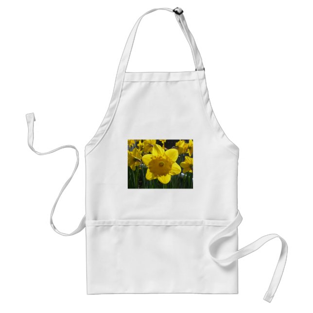 Sunlit Daffodil Standard Apron (Front)