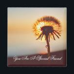 Sunlit Dandelion Friendship Quote Magnet<br><div class="desc">Sunlit Dandelion Friendship Quote</div>