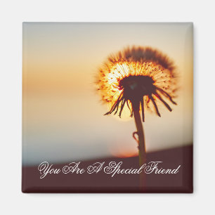 Sunlit Dandelion Friendship Quote Magnet