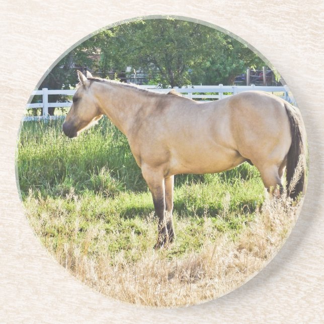 Sunlit Dappled Morning Coaster (Front)