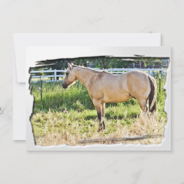 Sunlit Dappled Morning w/ White Frame (Front)