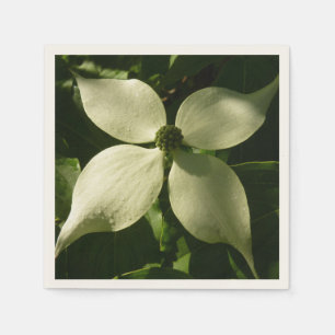 Sunlit Dogwood Blossom Spring Floral Napkin