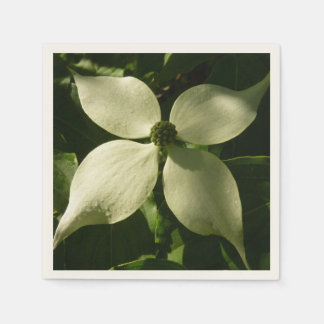 Sunlit Dogwood Blossom Spring Floral Napkin