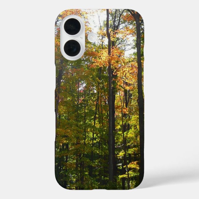 Sunlit Fall Forest Autumn Landscape Case-Mate iPhone Case (Back)