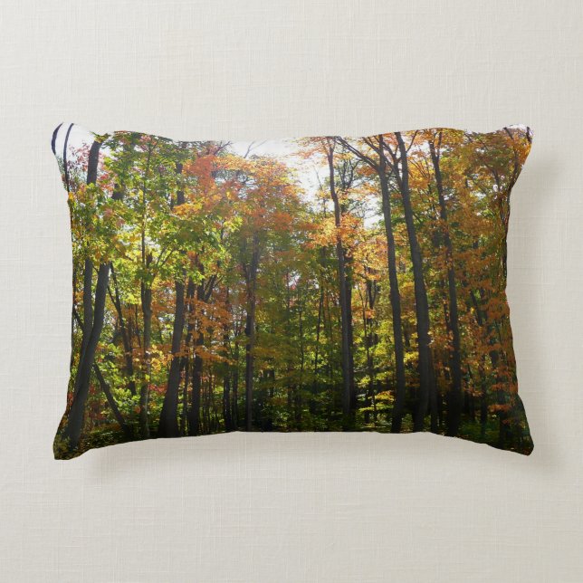 Sunlit Fall Forest Autumn Landscape Decorative Cushion (Front)