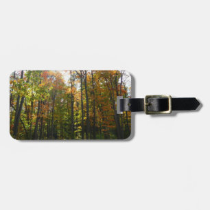 Sunlit Fall Forest Autumn Landscape Luggage Tag