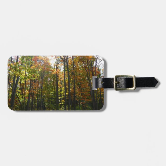 Sunlit Fall Forest Autumn Landscape Luggage Tag (Front Horizontal)
