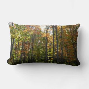 Sunlit Fall Forest Autumn Landscape Lumbar Cushion