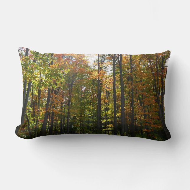 Sunlit Fall Forest Autumn Landscape Lumbar Cushion (Front)