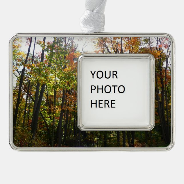 Sunlit Fall Forest Autumn Landscape Silver Plated Framed Ornament (Front)