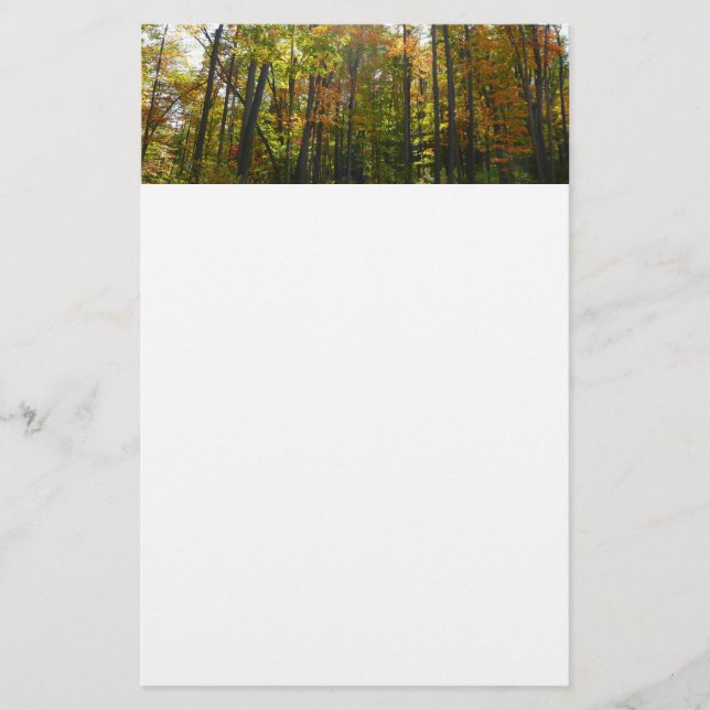 Sunlit Fall Forest Autumn Landscape Stationery (Front)