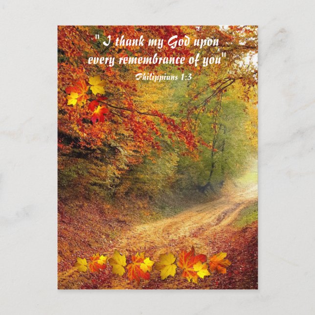 Sunlit Fall Pathway Christian Thank you Postcard (Front)
