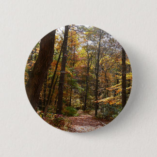 Sunlit Fall Trail in Laurel Hill State Park 6 Cm Round Badge