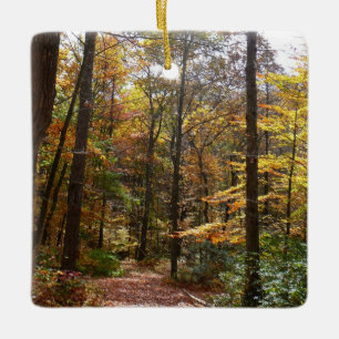Sunlit Fall Trail in Laurel Hill State Park Ceramic Tree Decoration