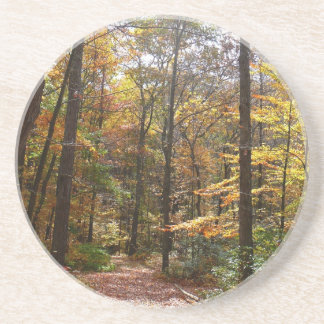 Sunlit Fall Trail in Laurel Hill State Park Coaster