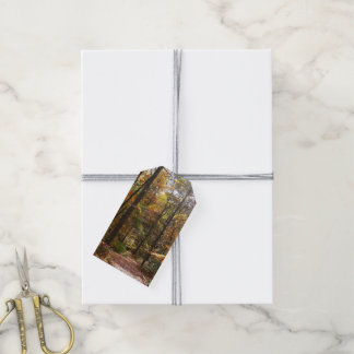 Sunlit Fall Trail in Laurel Hill State Park Gift Tags