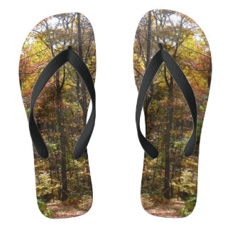 Sunlit Fall Trail in Laurel Hill State Park Jandals