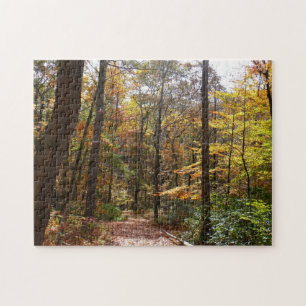 Sunlit Fall Trail in Laurel Hill State Park Jigsaw Puzzle