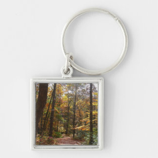 Sunlit Fall Trail in Laurel Hill State Park Key Ring