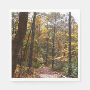 Sunlit Fall Trail in Laurel Hill State Park Napkin