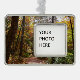 Sunlit Fall Trail in Laurel Hill State Park Silver Plated Framed Ornament
