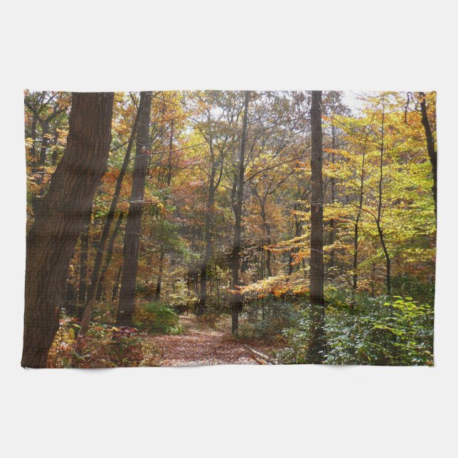 Sunlit Fall Trail in Laurel Hill State Park Tea Towel (Horizontal)