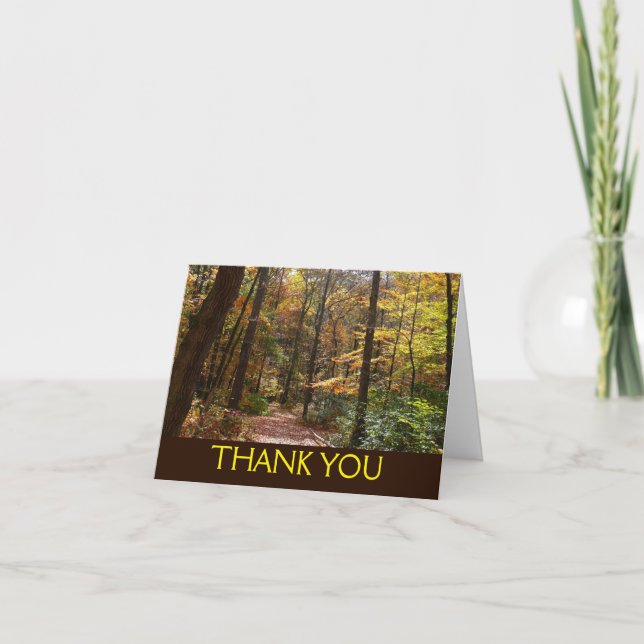 Sunlit Fall Trail in Laurel Hill State Park Thank You Card (Front)
