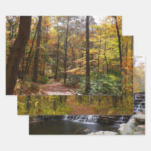Sunlit Fall Trail in Laurel Hill State Park Wrapping Paper Sheet