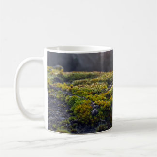 "Sunlit Forest Floor – Moss Close-Up at Dusk" Coffee Mug