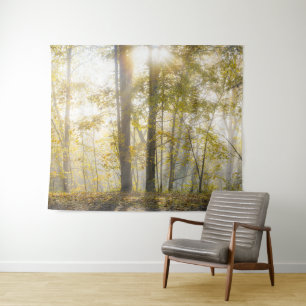 Sunlit forest, modern nature photo tapestry