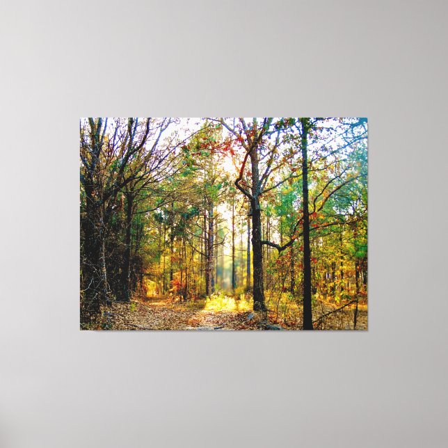 Sunlit Forest Path in Autumn Canvas Print (Front)