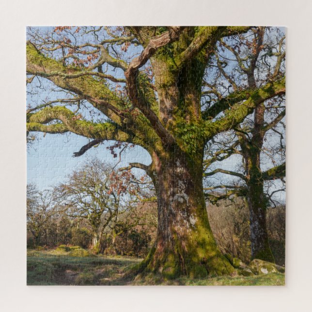 Sunlit Forest Path Leading to an Ancient Tree Jigsaw Puzzle (Vertical)