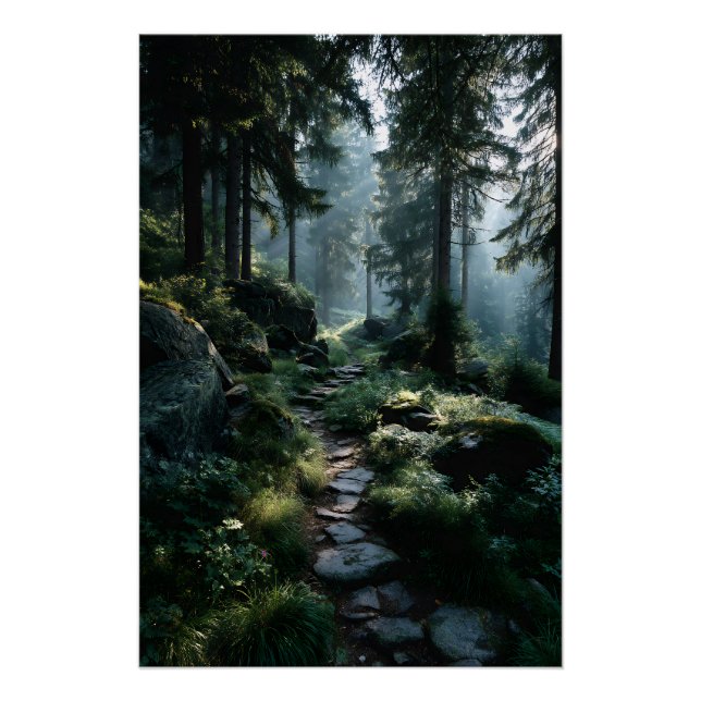 Sunlit Forest Path Through Ancient Pines Poster (Front)