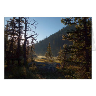 Sunlit Frosted Pine Trees at Dream Lake