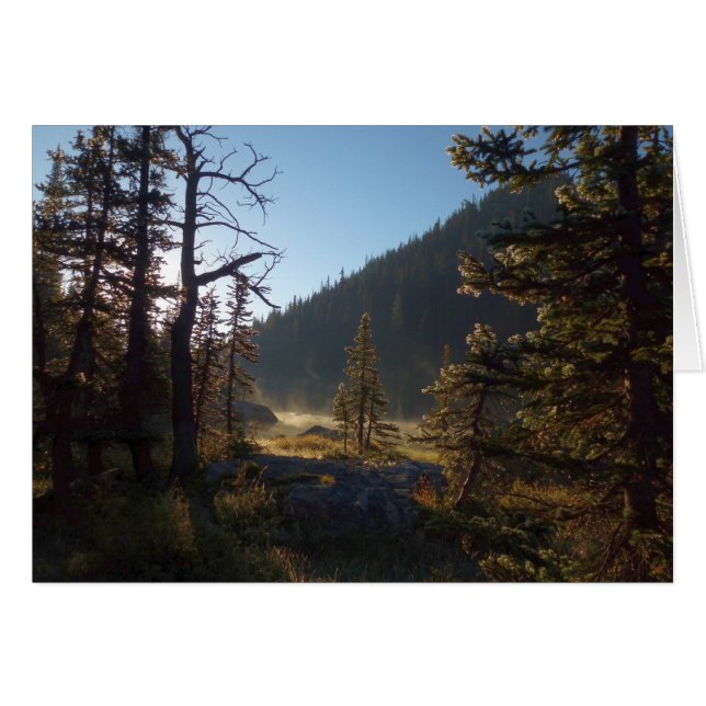 Sunlit Frosted Pine Trees at Dream Lake (Front Horizontal)