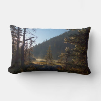 Sunlit Frosted Pine Trees at Dream Lake Lumbar Cushion