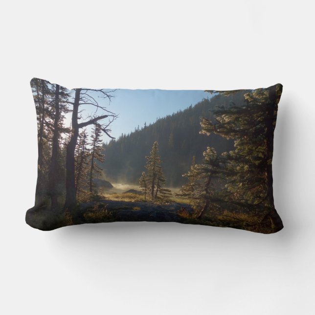 Sunlit Frosted Pine Trees at Dream Lake Lumbar Cushion (Front)