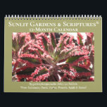 Sunlit Gardens & Scriptures<br><div class="desc">For anyone who loves a sunlit garden, this 12-month calendar presents beautiful plants aglow. My inspiration came from passages from the Holy Scriptures (used by both Jews and Christians) from Ecclesiastes, Daniel, Psalms, Proverbs, Isaiah and Samuel. All mention the joy, blessings, and life that light brings.</div>