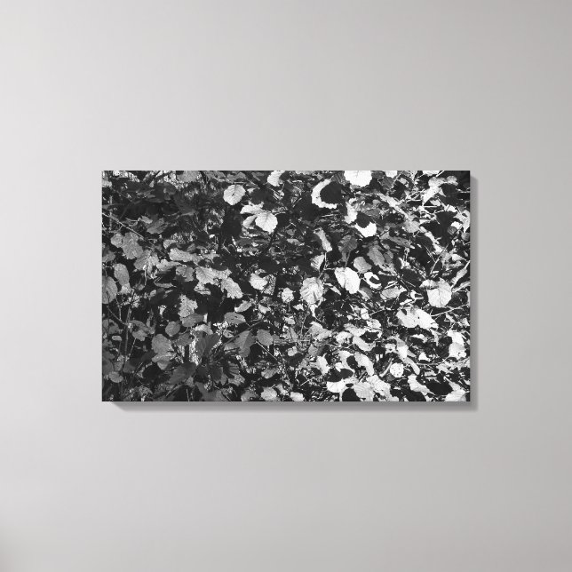 Sunlit Leaves Canvas Print (Front)