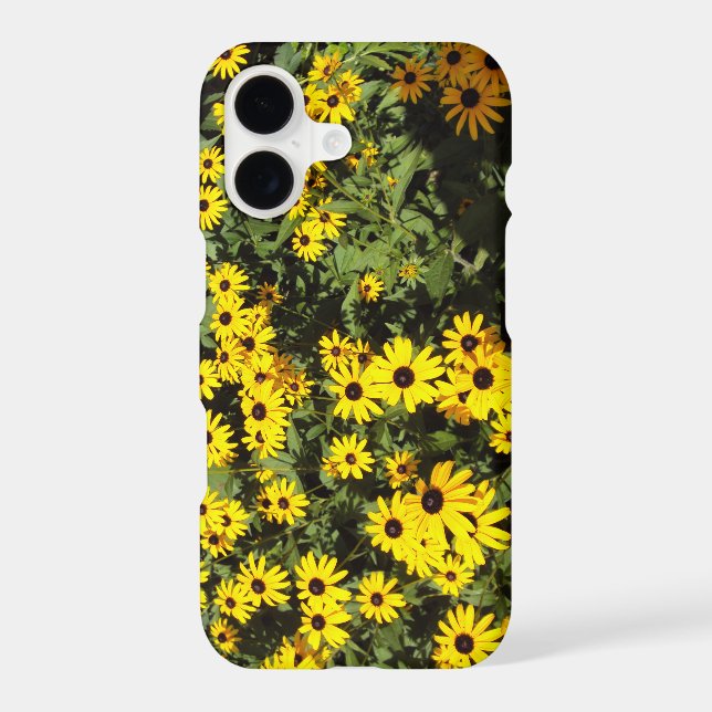 Sunlit Meadow (Back)