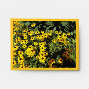 Sunlit Meadow Envelope