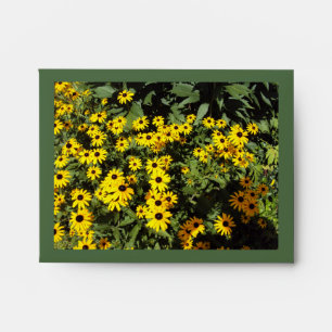 Sunlit Meadow Envelopes
