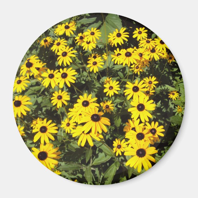 Sunlit Meadow Magnet (Front)