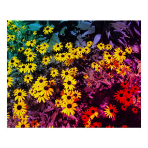 Sunlit Meadow Poster